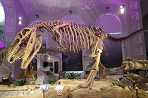 Dinosaurus